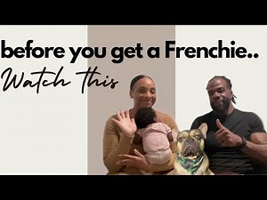 French Bulldog 101 | 8 Facts About Frenchies You HAVE TO Know