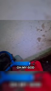 640K views · 8.4K reactions | Gator in the Drain! | Bass Fishing Productions | Facebook