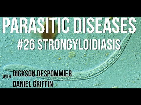 Parasitic Diseases Lectures #26: Strongyloidiasis