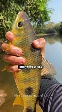 Tubular or Solid Rod: What's the Difference and When to Use Each?