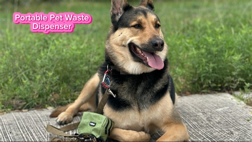 Watch Pet Waste Bag Dispenser on Amazon Live