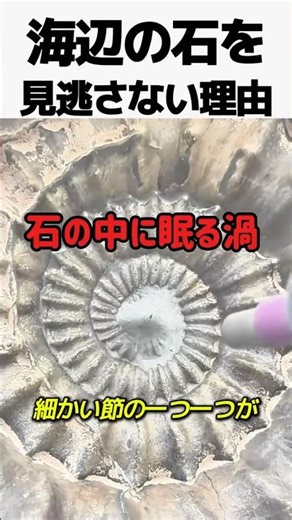 Why you shouldn't miss the beach stones