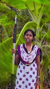Amazing Light Weight Telescopic Fruit Harvesting and Pruning Pole