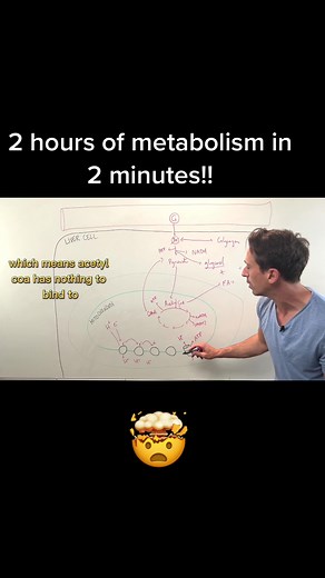 Understanding Metabolism: A Biochemistry Breakdown
