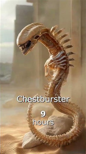 The Evolution Of Xenomorph