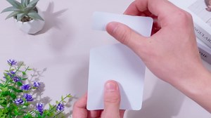 500 Pack Blank Parking Permit Hang Tag Plastic Parking Placards PVC Hang Tag 3 x 5 Inch for Car Rear View Mirror Employee Resident Car Lot Enterprises Office and More(White)