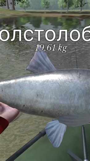 fishing @spinning @simulator @spinner