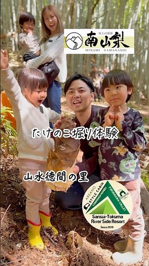 🌿たけのこ堀り体験 -山水徳間の里-🌿いいじゃん、南山梨 #株式会社ルーズリーフ #山梨観光 #たけのこ #たけのこ掘り#南山梨