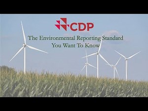 CDP: The Environmental Reporting Standard You Want to Know