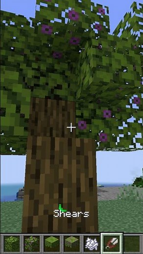 Minecraft How to Get Azalea Leaves #shorts 1.17.1