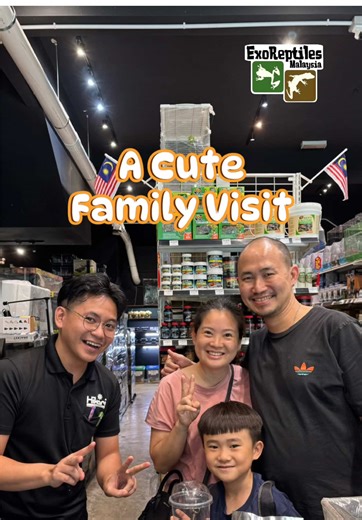 Creating a Thriving Terrarium for Your Beetles