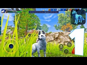 Wolf Tales - Wild Animal Sim - Gameplay Walkthrough Part 1 - Wolf Battle (Android, PC)