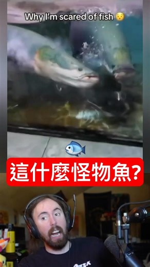 魚的進食速度有多恐怖？1 秒消失的香腸