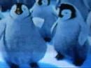 Happy Feet Rap
