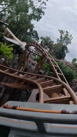 The Most CONFUSING Roller Coaster Ever?! 🛕🎋 #shorts #rollercoaster