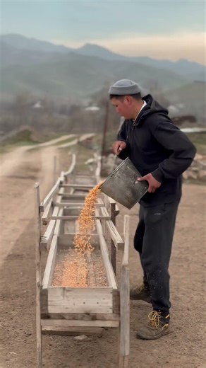 My Goat Farm 🐐🌿