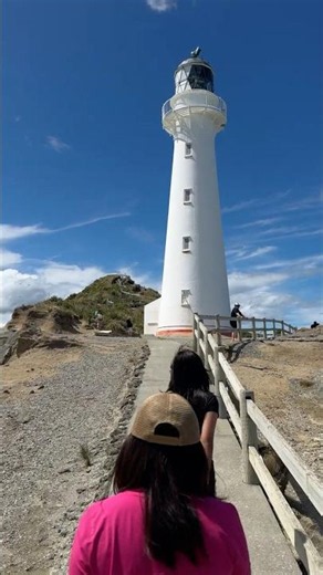 Hidden Paradise | Castlepoint Lighthouse | Wairarapa | North Island | New Zealand