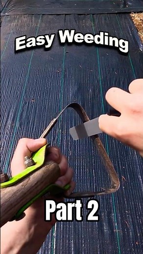 Sharpening This Garden Tool Is a Game Changer For Weeding In The Garden!