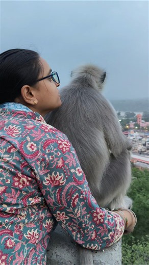 Langur Mama "In the fast pace of the city, the true meaning of life is lost."