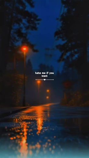 Explore the Lyrics of 'Hate Me All You Want'