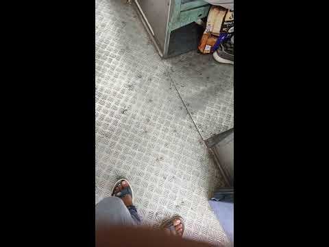 MR PRAKASH FF is live!