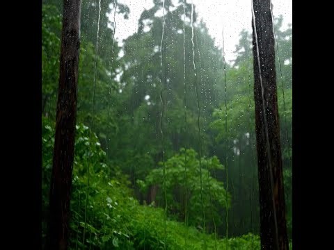 Intense heavy rainfall fall instantly deep sleep relaxing white noise ASMR