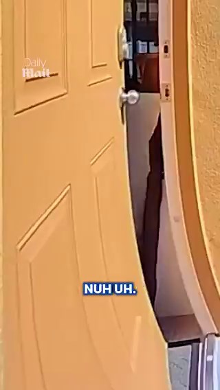 A kid sees a guy trying to park and thinks he's getting kidnapped. Runs inside screaming for help. Now the driver is facing kidnapping charges over a parking spot. This is insane.