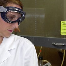 Video: Quantifying Plant Soluble Protein and Digestible Carbohydrate Content, Using Corn Zea mays As an Exemplar