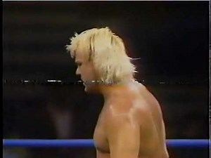 WCW - Arn Anderson vs. Barry Windham 11/2/91