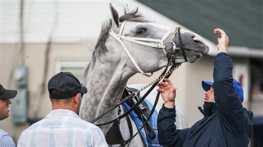 Previewing the Louisiana Derby: Horse-by-Horse Analysis