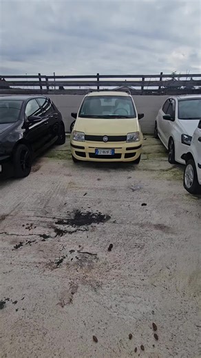 Video di saverio (@saverio39551) con suono originale - saverio