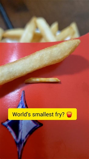 Found the world’s smallest fry at McDonald’s! 🍟 Is it real or 1:6 scale? #fries #miniature