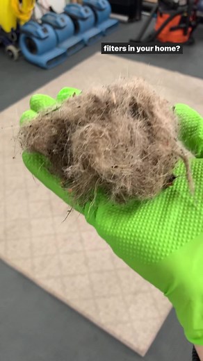 Deep-Cleaning a Rug to Perfection