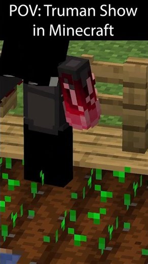 mod name in description #minecraft #memes #funny #trending