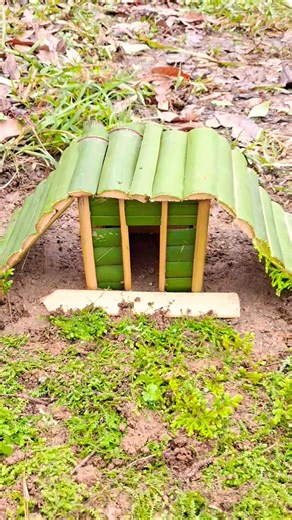 ​Mini Curved Roof Bamboo House | DIY Tiny Builds #shorts