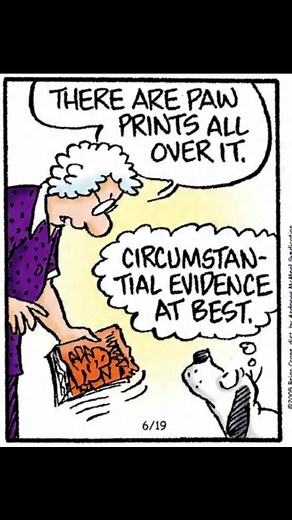 2.6K views · 23 reactions | My dad always has the remote but still can’t use it properly. He records random programmes #fblifestyle #OpalandEarl #OpalandEarls7 #familycircus #AlissaNelson | Opal and Earl | Facebook