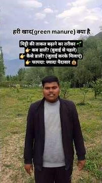 फसल की ताकत बढ़ाने का देसी तरीका 🌱 हरी खाद का सही उपयोग #agricultureindia #organicindia