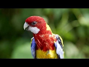 Samsung 8K : Details (HDR)