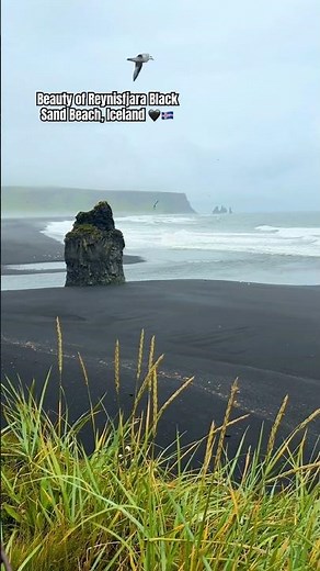 Reynisfjara Black Sand Beach, Iceland 🖤🇮🇸