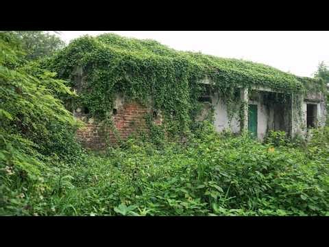 Overgrown Abandoned House Made Beautiful Again | Satisfying Cleanup