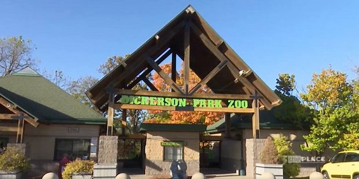 Dickerson Park Zoo says wild, migratory Canada goose tests positive for bird flu