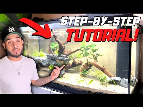 How to Set Up and Aquascape a Juwel Primo 110 !