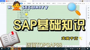 SAP软件SAP系统SAP教程SAP视频课程SAP 入门基础知识讲解2