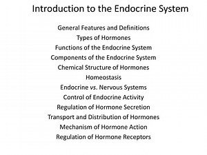 Introduction to the Endocrine System - SlideServe