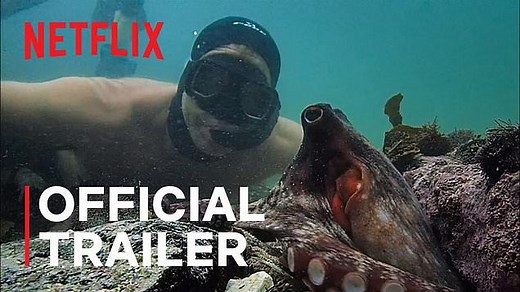 My Octopus Teacher Trailer (2020)