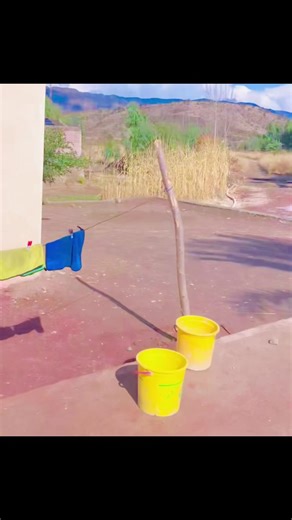 Exploring Gulli: A Visual Journey