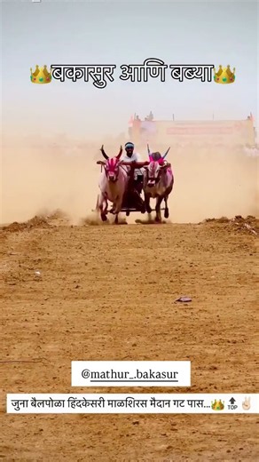 बकासुर & बब्या घरचा आज जुना बैलपोळा हिंदकेसरी मैदान ❤️👑✨🫶............................ #viral #reels