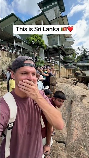 Discover Why Everyone Loves Sri Lanka 🏝️❤️ | Travel Vlog #SriLanka #TravelAdventures