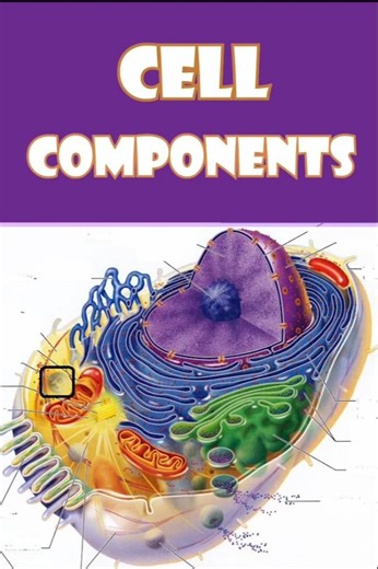 Cell Components-Structures and Functions #english #biology