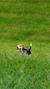 3.4K views · 49 reactions |  See something concerning? Let us know....